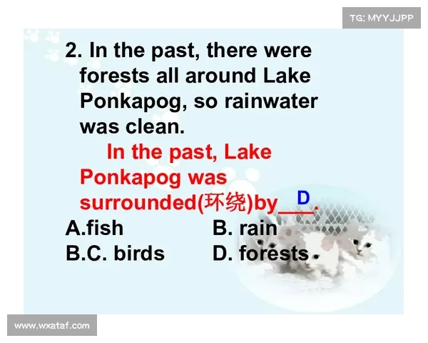 巴舒亚伊语言学习指南：深入理解和掌握这门语言的全面路径与技巧