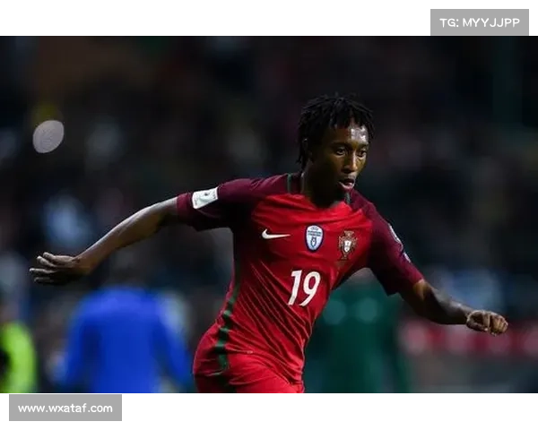 加的夫城目前征战于哪个联赛的深度解析与球队现状走势全观览